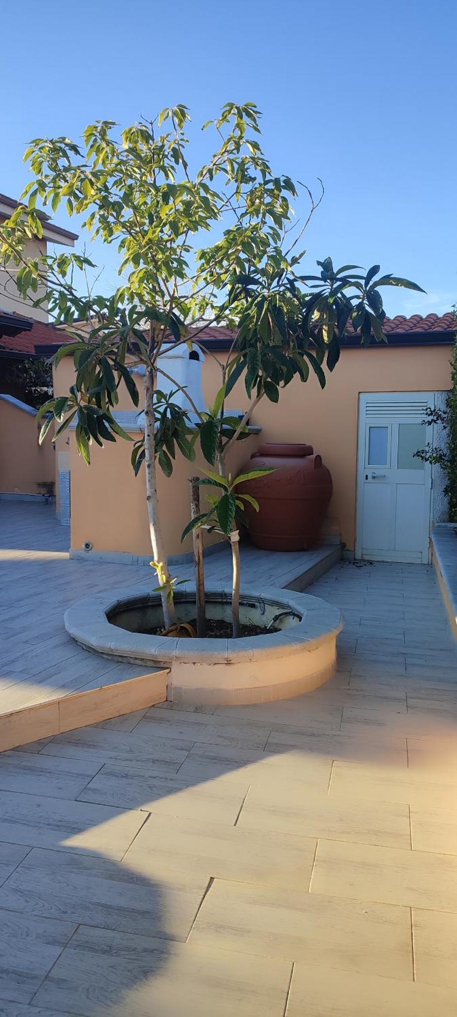 Villetta Aurora Villaggio Porto Ada A 2 Passi Dal Mare Pizzo  Exterior foto